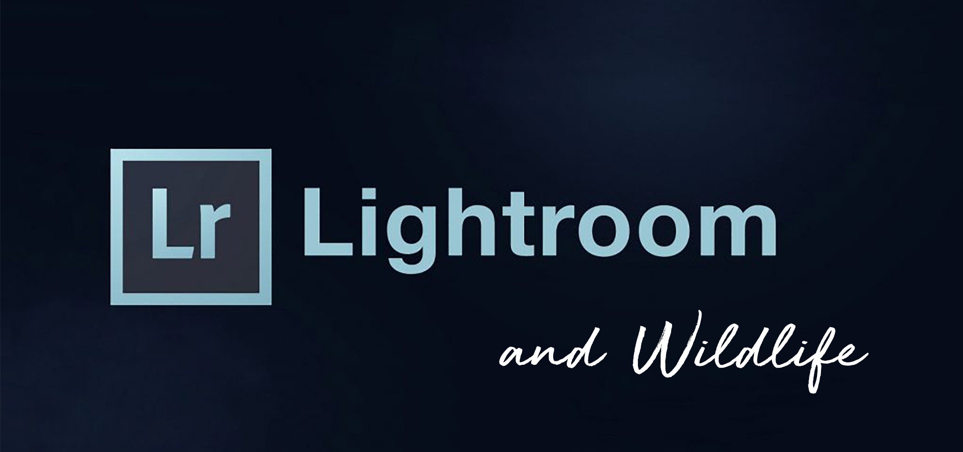 Expert Lightroom & Wildlife Image Editing