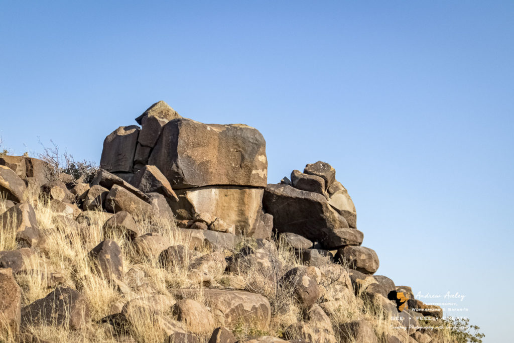 Karoo Experience - Photos from  the Karoo Gariep Nature reserve by Andrew Aveley