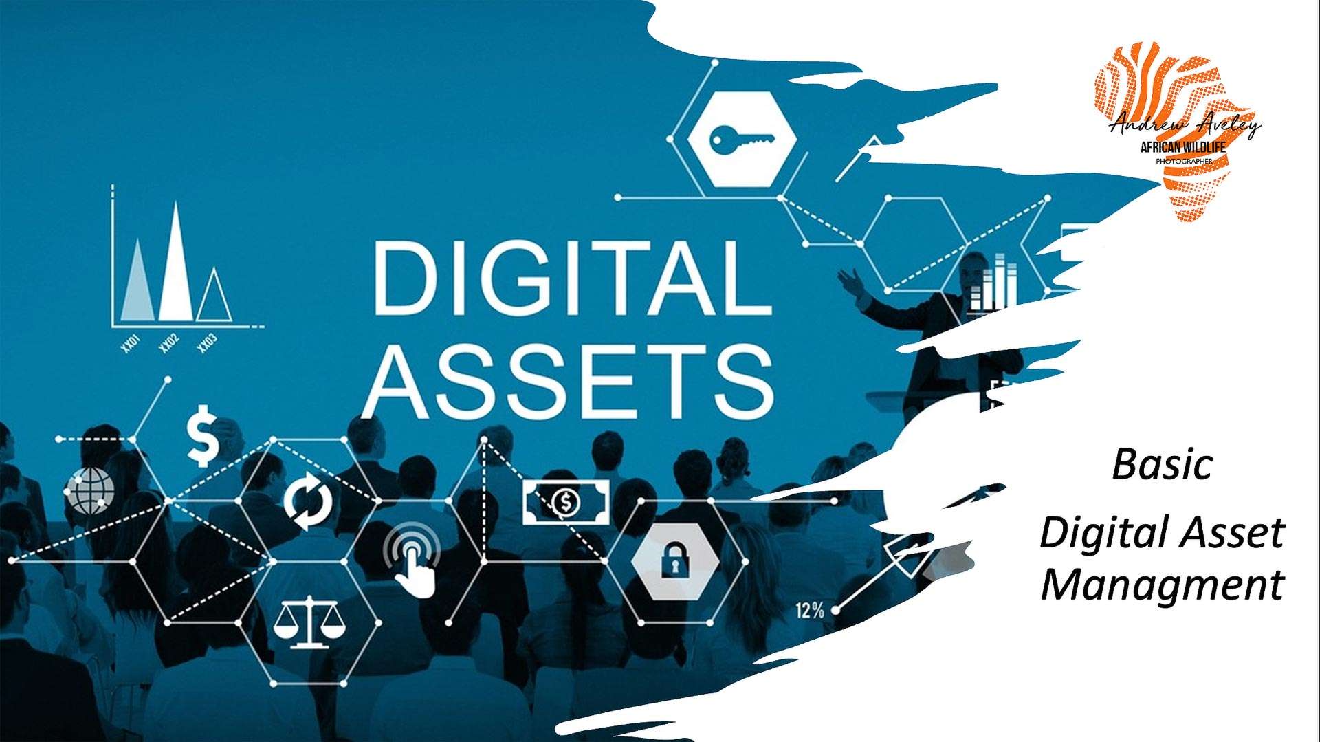 Digital Asset Management Training